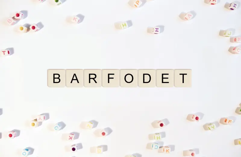 Alle mulige ord fra bogstaver BARFODET